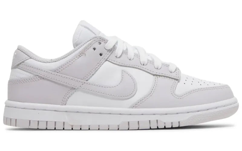 Nike Dunk Low Venice (Women's)