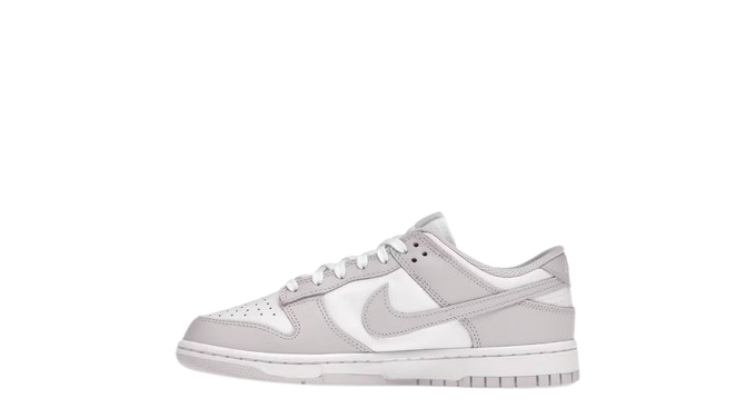 Nike Dunk Low Venice (Women's)