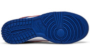 Nike Dunk Low USA (Women's)