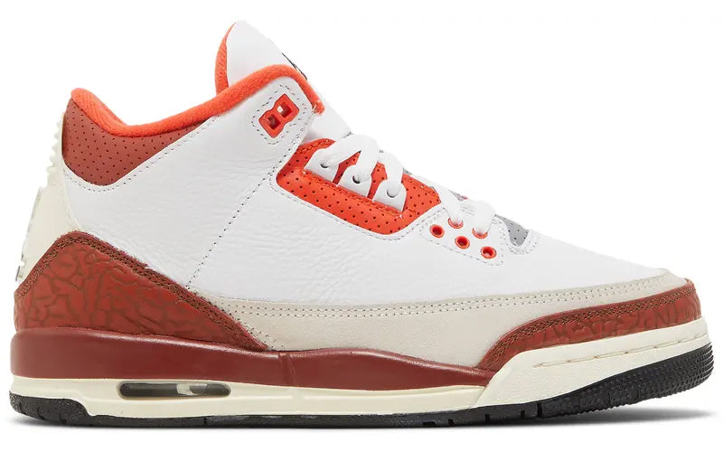 Jordan 3 Retro SE Dunk on Mars (GS)