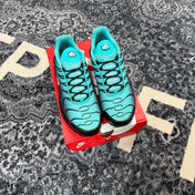Nike Air Max Plus Light Retro Blue (Preowned)