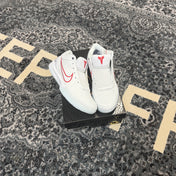 Nike Kobe 4 Protro Draft Day Pack Toronto Raptors