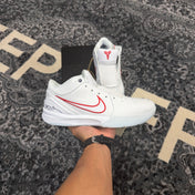 Nike Kobe 4 Protro Draft Day Pack Toronto Raptors