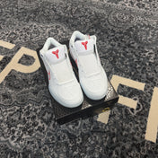 Nike Kobe 4 Protro Draft Day Pack Toronto Raptors