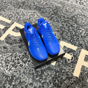 Nike Kobe 5 Protro Dodgers