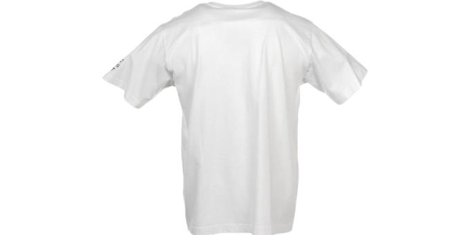 KawsUniqloTokyoWhiteTee_Back_NBG.png